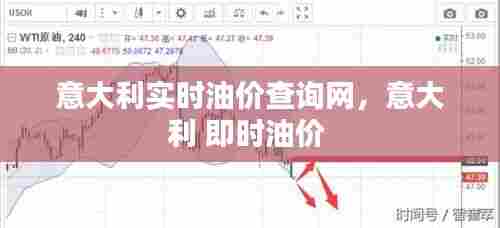 意大利实时油价查询网,意大利 即时油价