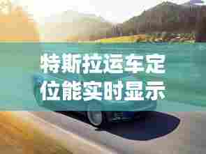 特斯拉运车定位能实时显示吗,特斯拉定位准确吗
