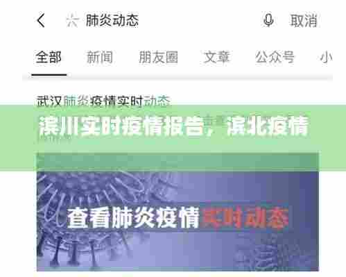 滨川实时疫情报告,滨北疫情