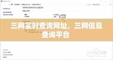 三网实时查询网址,三网信息查询平台