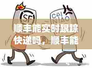 顺丰能实时跟踪快递吗,顺丰能实时跟踪快递吗现在