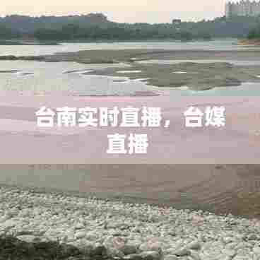 台南实时直播，台媒直播 