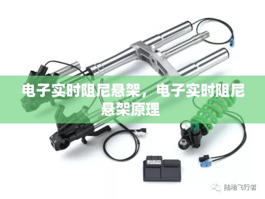 电子实时阻尼悬架,电子实时阻尼悬架原理
