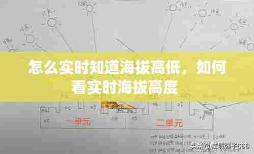 怎么实时知道海拔高低，如何看实时海拔高度 