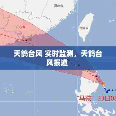 天鸽台风 实时监测,天鸽台风报道