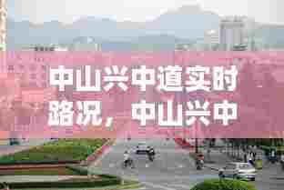 中山兴中道实时路况,中山兴中道实时路况图