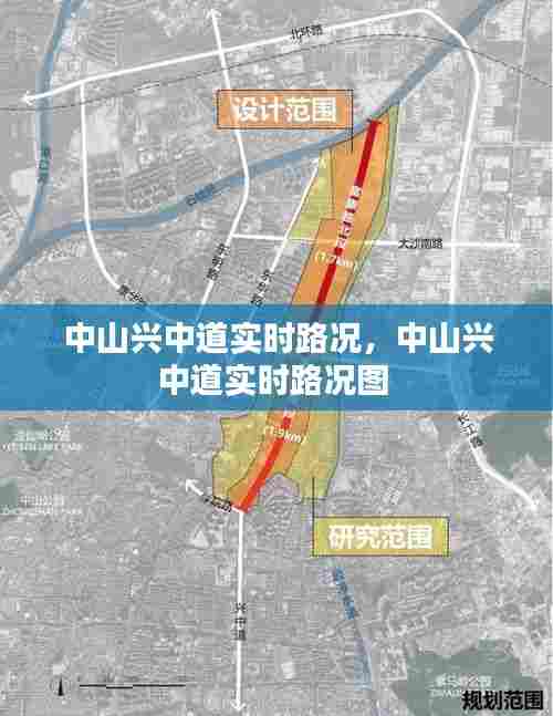 中山兴中道实时路况,中山兴中道实时路况图