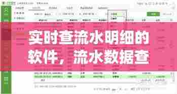 实时查流水明细的软件,流水数据查询