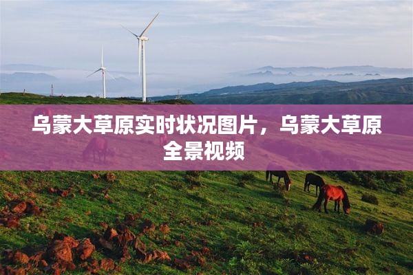 客户评价 第321页