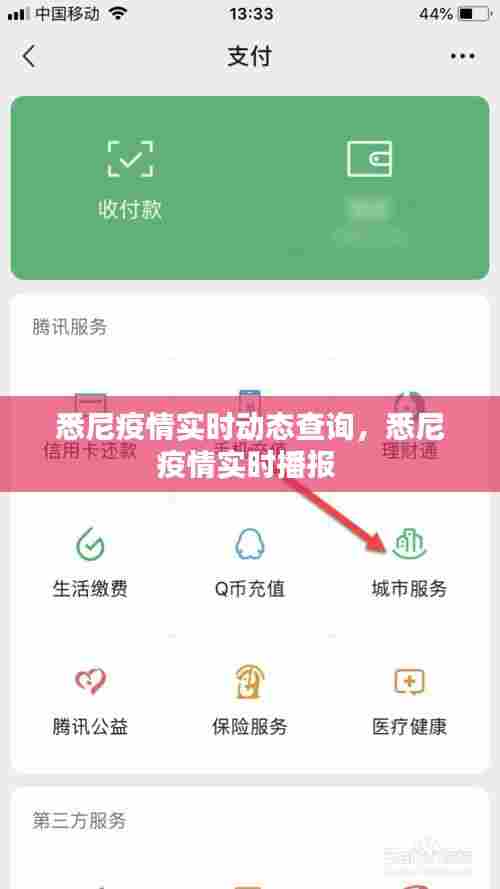 悉尼疫情实时动态查询,悉尼疫情实时播报