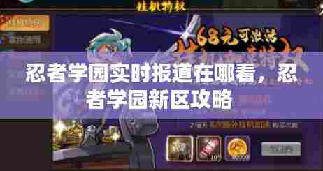 忍者学园实时报道在哪看,忍者学园新区攻略