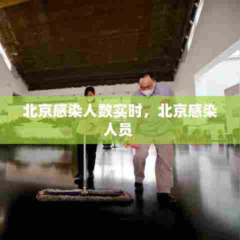 北京感染人数实时,北京感染人员