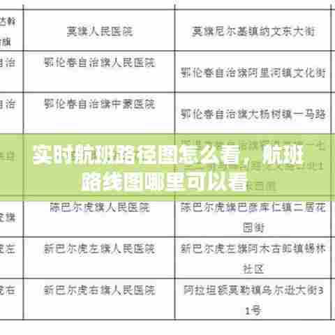 实时航班路径图怎么看,航班路线图哪里可以看