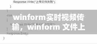 winform实时视频传输,winform 文件上传