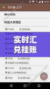 实时汇兑挂账软件哪个好，外汇实时到账 