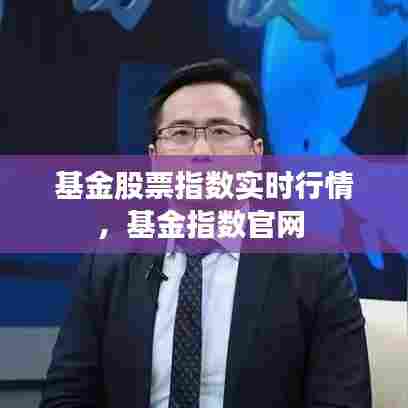 基金股票指数实时行情，基金指数官网 