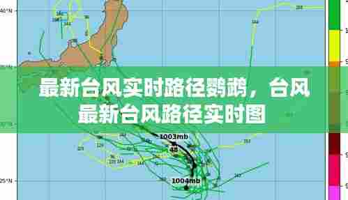 最新台风实时路径鹦鹉,台风最新台风路径实时图