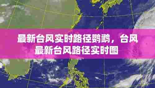 最新台风实时路径鹦鹉,台风最新台风路径实时图