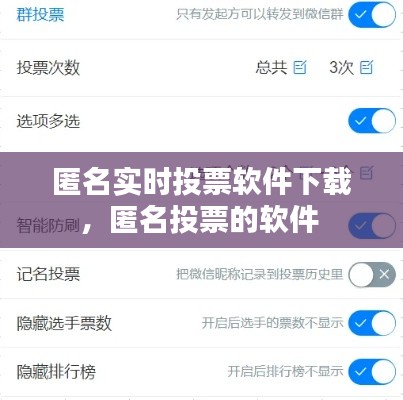 匿名实时投票软件下载,匿名投票的软件