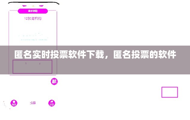 匿名实时投票软件下载,匿名投票的软件