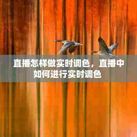 直播怎样做实时调色，直播中如何进行实时调色 