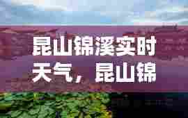 昆山锦溪实时天气,昆山锦溪实时天气预报