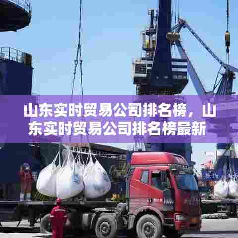 山东实时贸易公司排名榜,山东实时贸易公司排名榜最新