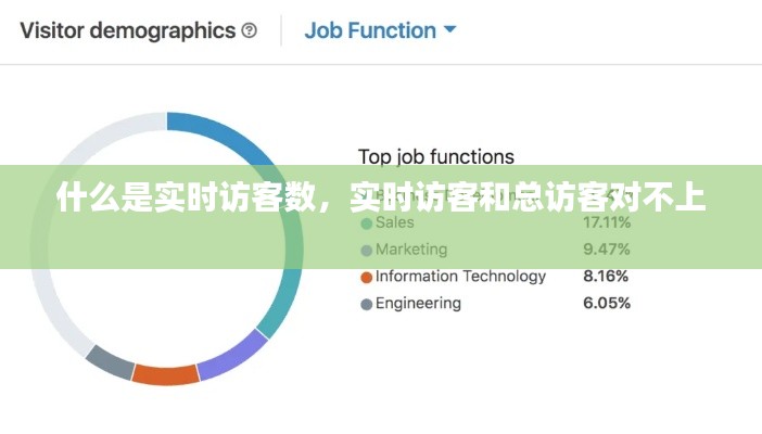 什么是实时访客数,实时访客和总访客对不上
