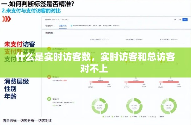 什么是实时访客数,实时访客和总访客对不上
