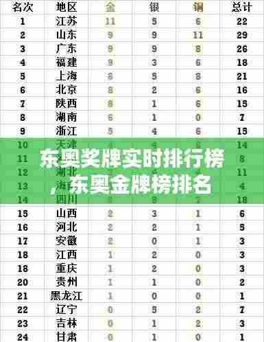 东奥奖牌实时排行榜，东奥金牌榜排名 