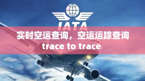 实时空运查询,空运运踪查询trace to trace