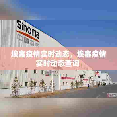 埃塞疫情实时动态，埃塞疫情实时动态查询 