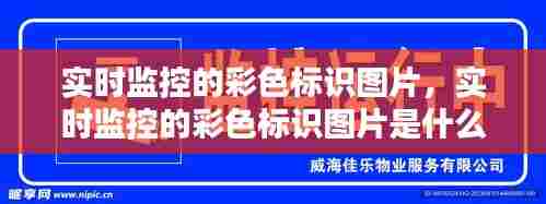 实时监控的彩色标识图片，实时监控的彩色标识图片是什么 