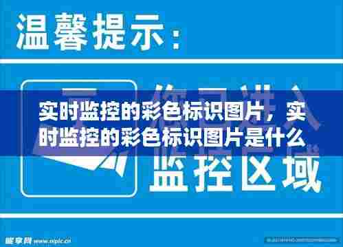 实时监控的彩色标识图片,实时监控的彩色标识图片是什么