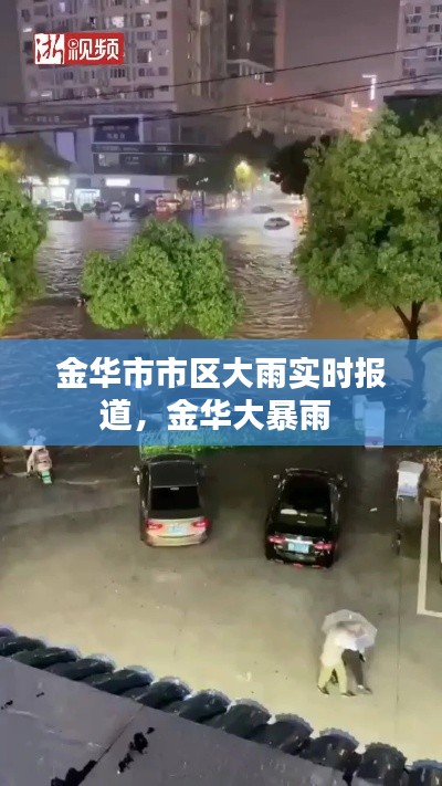 金华市市区大雨实时报道,金华大暴雨