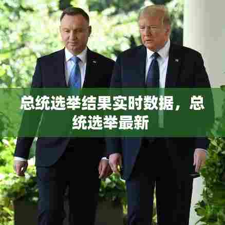 总统选举结果实时数据,总统选举最新