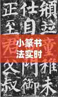 小篆书法实时直播平台下载,小篆书法视频教程