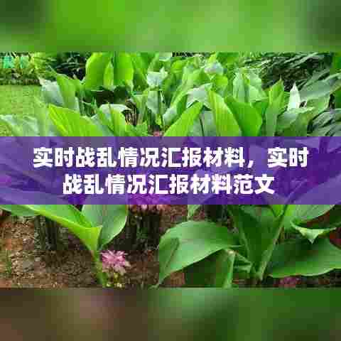 实时战乱情况汇报材料,实时战乱情况汇报材料范文