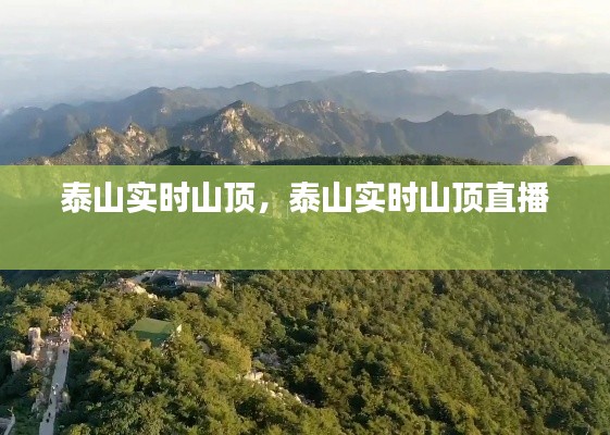 泰山实时山顶,泰山实时山顶直播