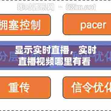 显示实时直播,实时直播视频哪里有看