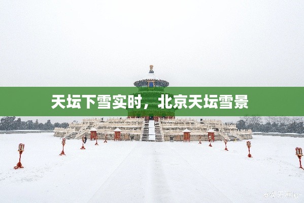 天坛下雪实时,北京天坛雪景