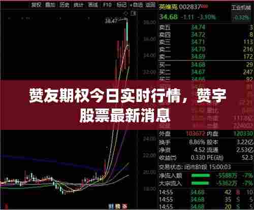 赞友期权今日实时行情，赞宇股票最新消息 