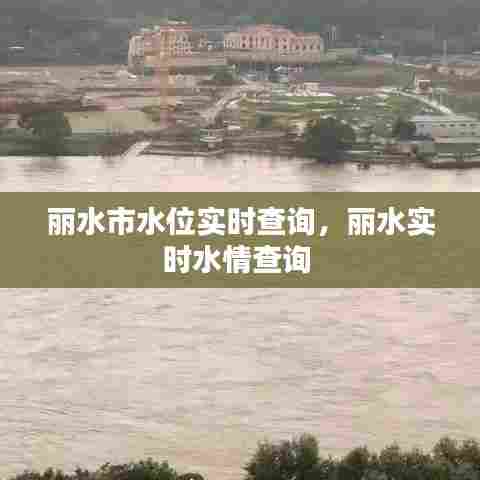 丽水市水位实时查询，丽水实时水情查询 