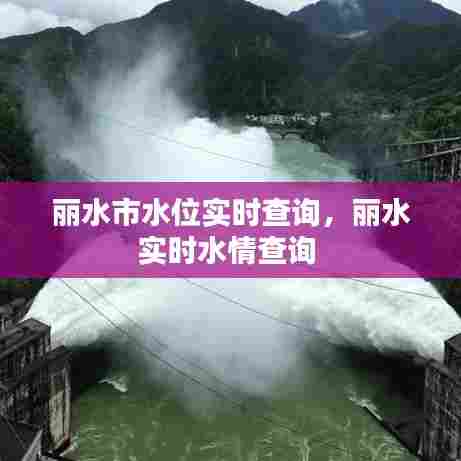 丽水市水位实时查询,丽水实时水情查询