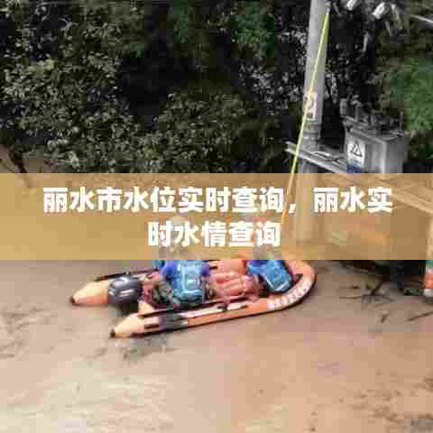 丽水市水位实时查询,丽水实时水情查询