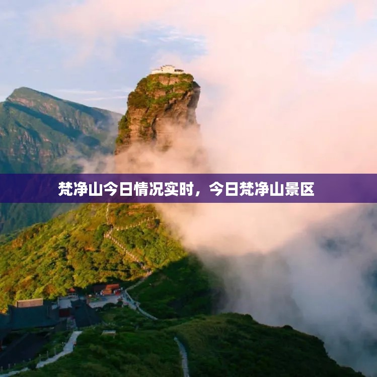 梵净山今日情况实时,今日梵净山景区