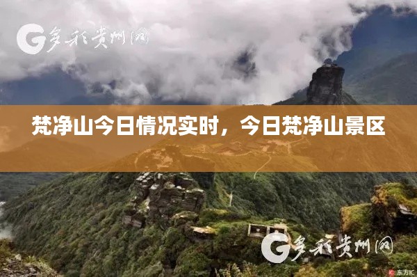 梵净山今日情况实时,今日梵净山景区