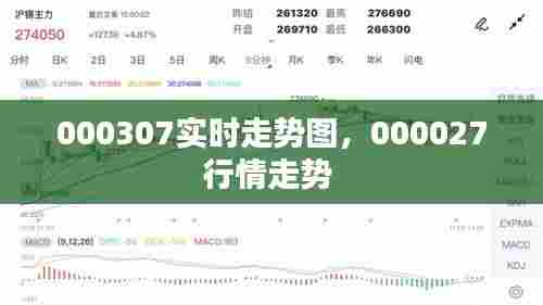 000307实时走势图,000027行情走势