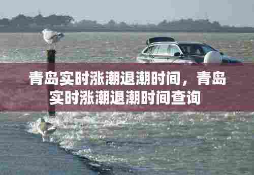 青岛实时涨潮退潮时间，青岛实时涨潮退潮时间查询 
