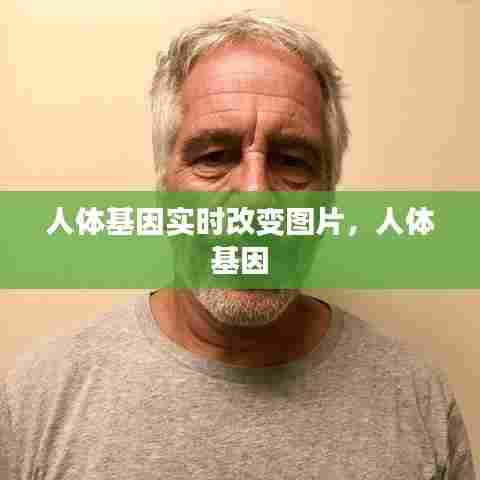 人体基因实时改变图片,人体 基因